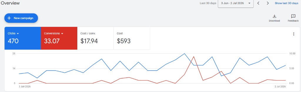 Google Ads dashboard from a live client campaign