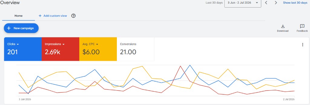 Google Ads dashboard from a live client campaign