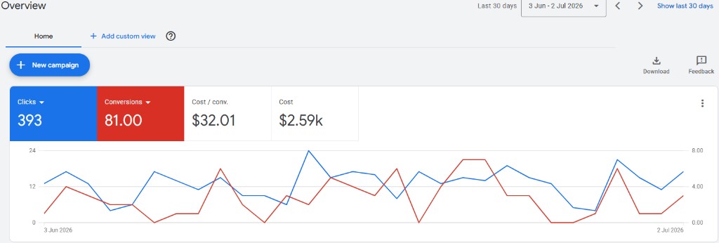 Google Ads dashboard from a live client campaign